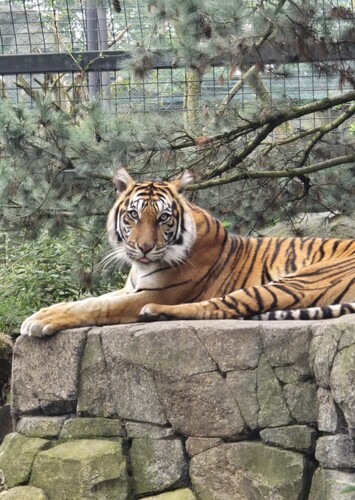 Tierpark Berlin