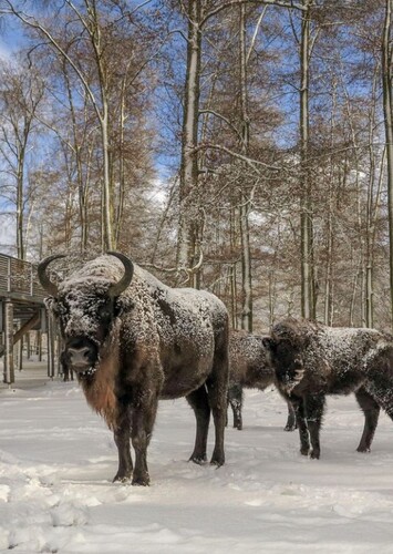 Tierpark Bern