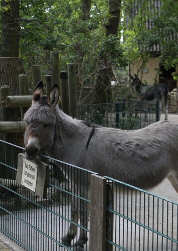 Tierpark Bierer Berg