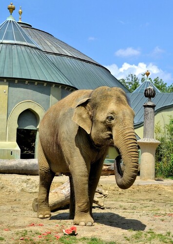 Tierpark Hellabrunn