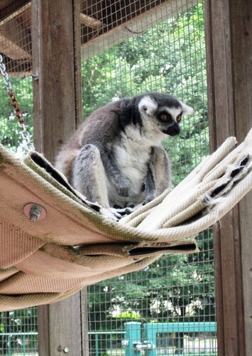 Tierpark Petermoor