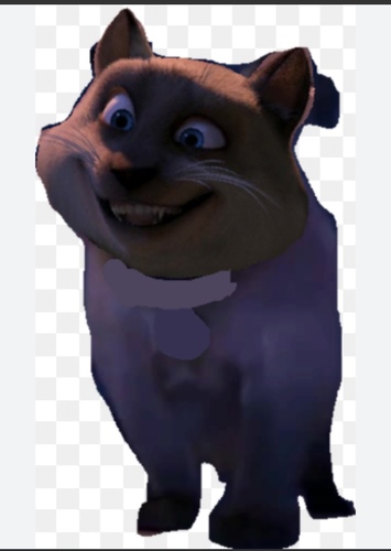 Tiger the Cat