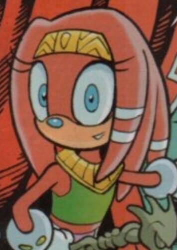 Tikal the Echidna