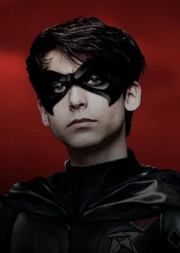 Tim Drake/Robin