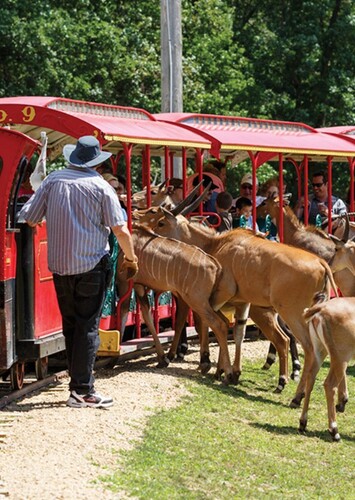 Timbavati Wildlife Park