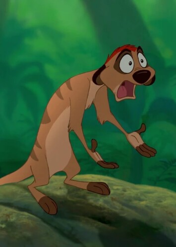 Timon