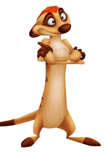 Timon