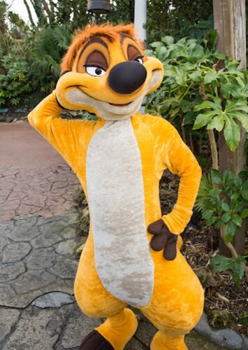 Timon