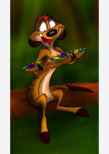 Timon