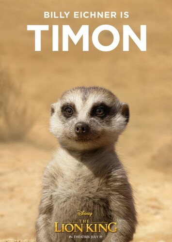 Timon