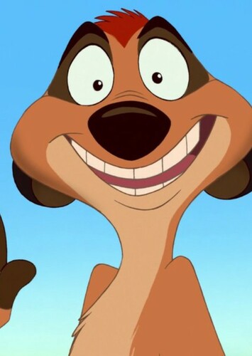 Timon