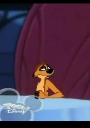 Timon