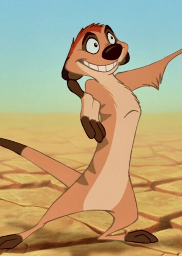 Timon