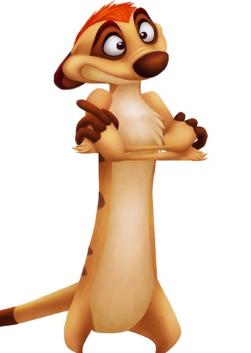 Timon