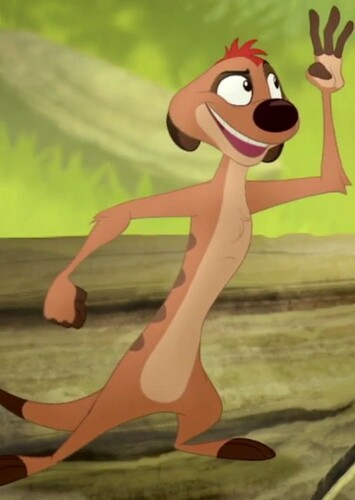 Timon (Disney Junior's The Lion Guard)