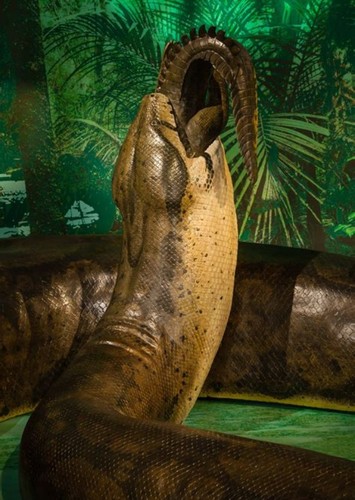 Titanoboa