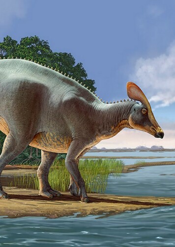 Tlatolophus