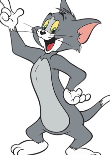 Tom Cat