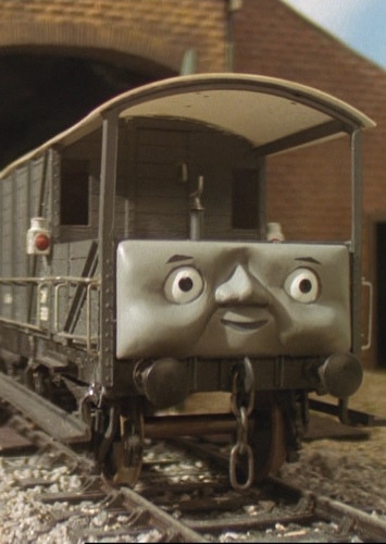 Toad