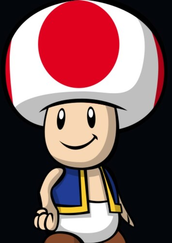Toad