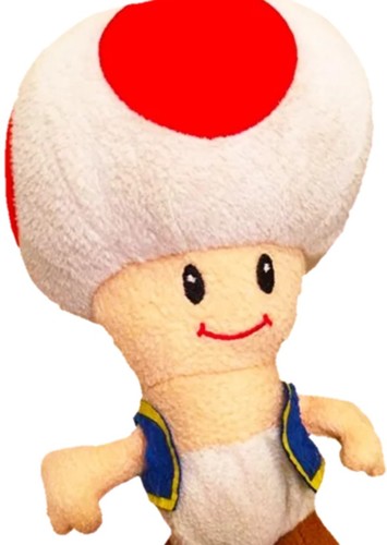 Toad