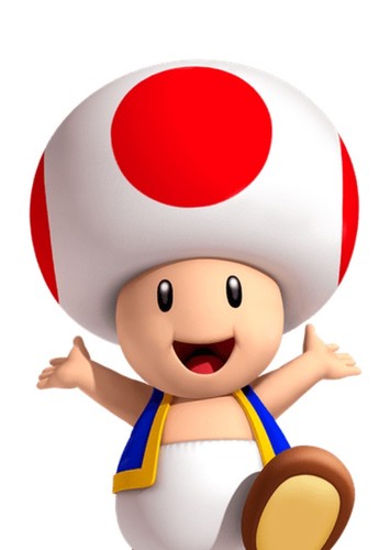 Toad
