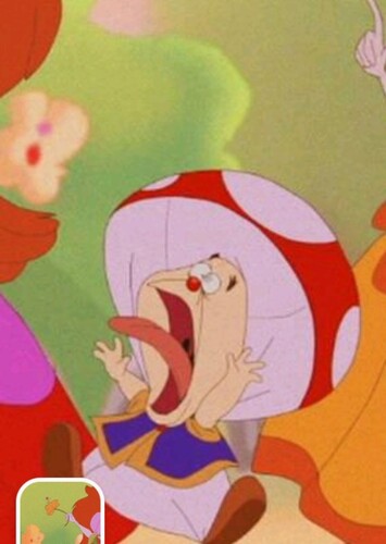 Toad