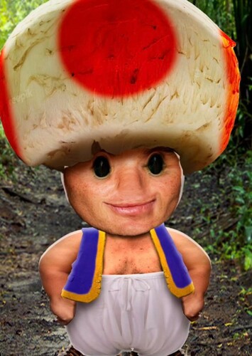 Toad