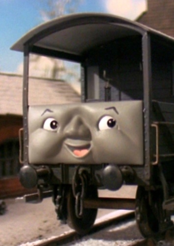 Toad