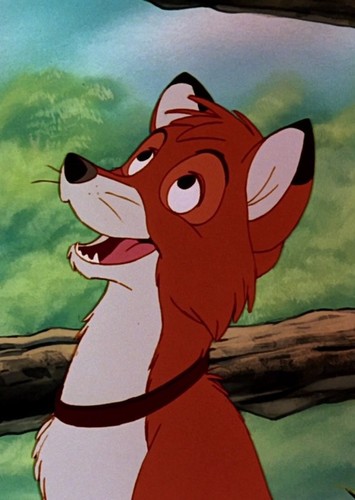 Tod