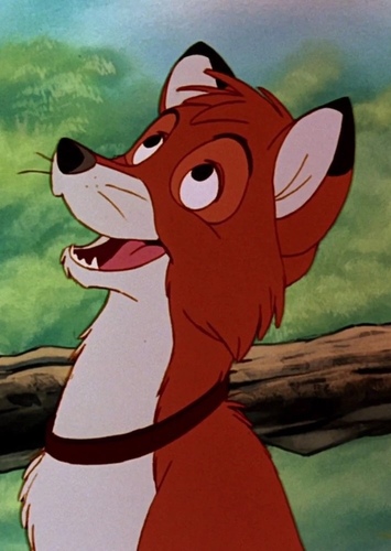 Tod