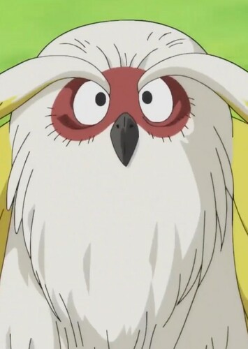 Toki Toki