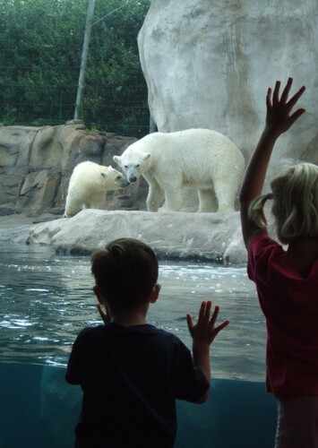 Toledo Zoo and Aquarium