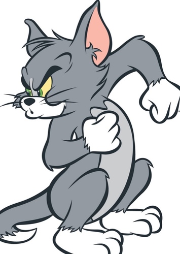 Tom the cat