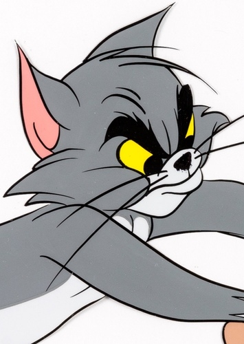 Tom Cat