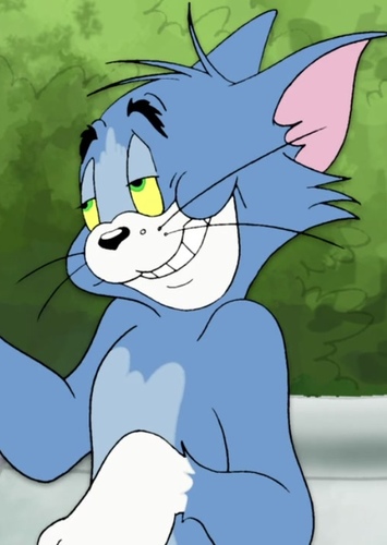Tom Cat