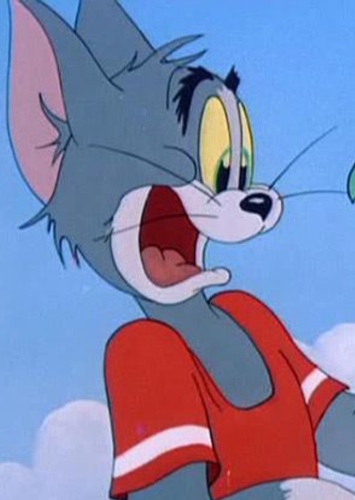Tom Cat