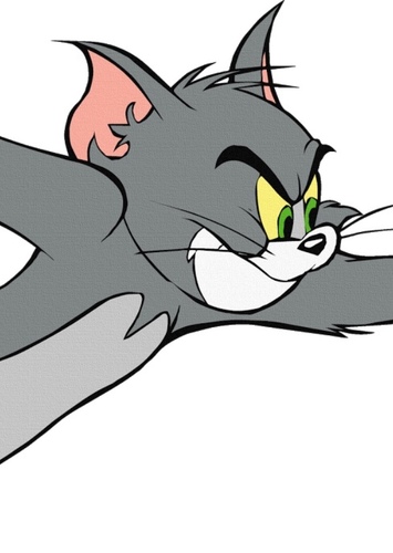 Tom Cat