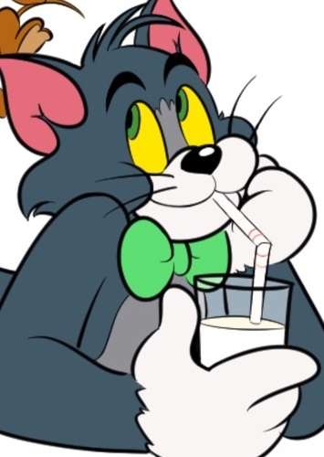 Tom Cat