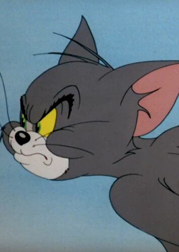 Tom Cat