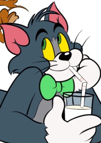 Tom Cat