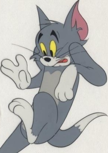 Tom Cat