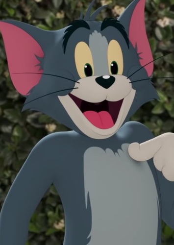 Tom Cat