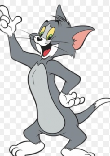 Tom Cat