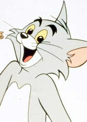 Tom Cat