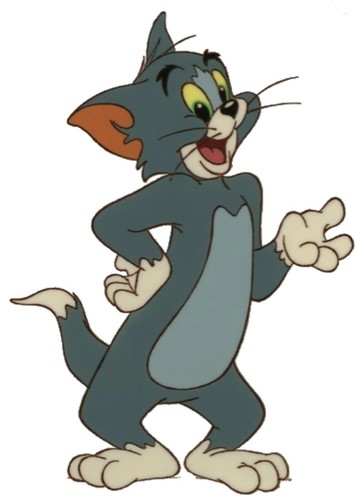 Tom Cat