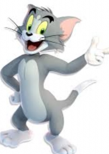 Tom Cat