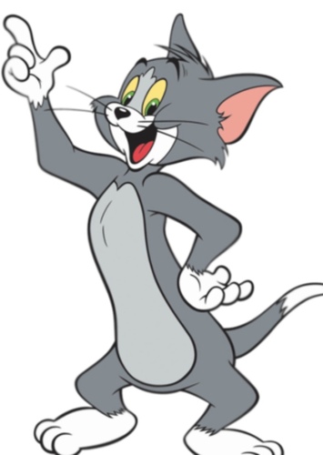 Tom Cat