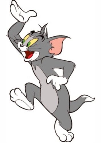 Tom Cat