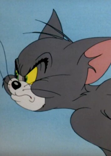 Tom Cat